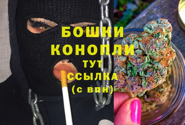 дурь Карпинск