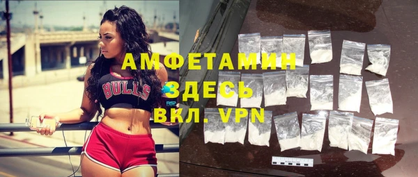 прущие грибы Армянск