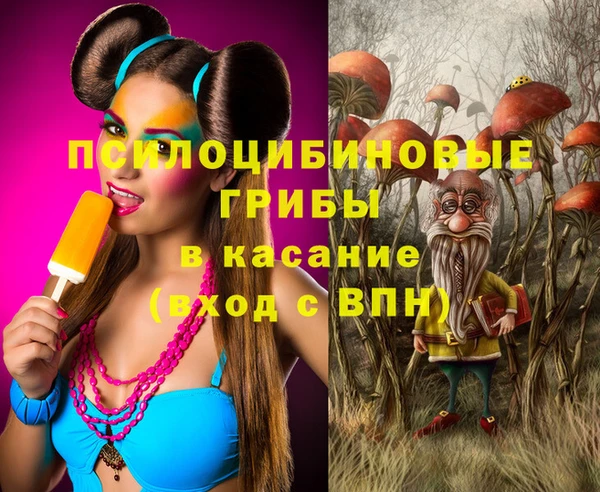 герыч Алексин