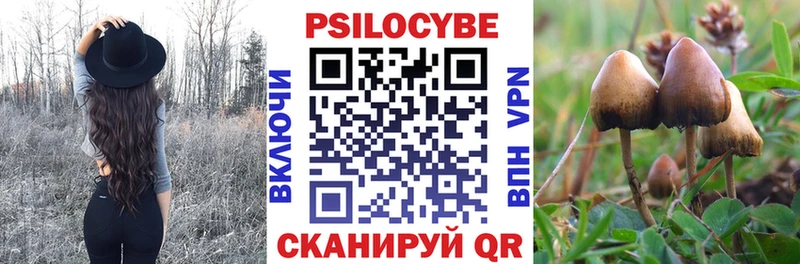 Псилоцибиновые грибы Cubensis  что такое наркотик  Калининец 